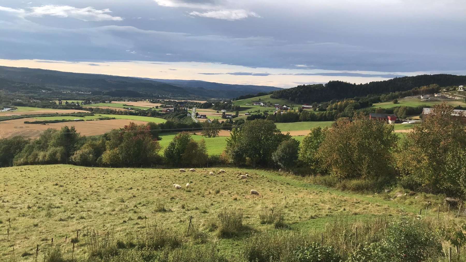 Camps i boscos de Selbu amb el llac al fons