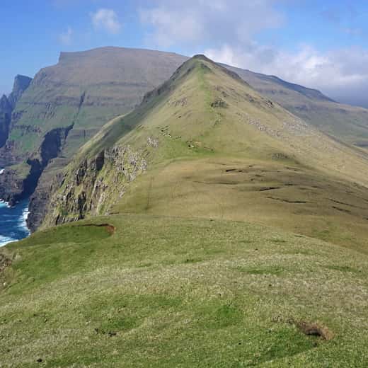 Carena herbosa que cau sobre l’oceà a les Illes Fèroe