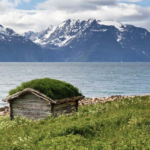 Cabana de fusta amb teulada de gespa vora un fiord noruec