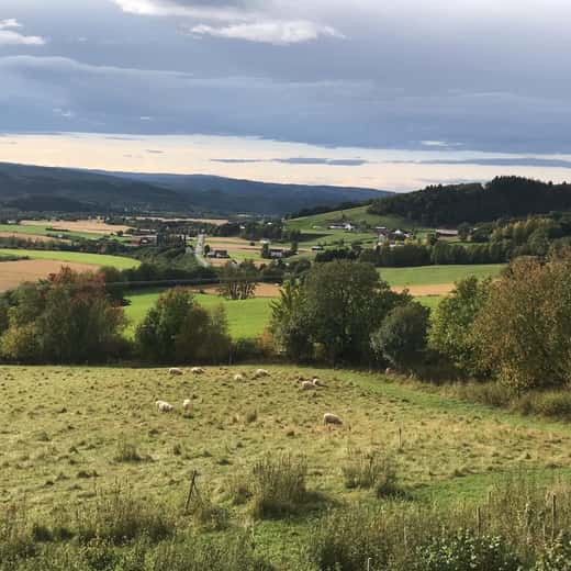 Camps i boscos de Selbu amb el llac al fons
